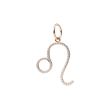 14k Leo Charm